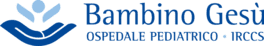 Ospedale Pediatrico Bambino Gesu